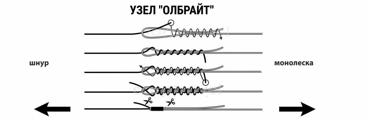 Как вязать шок-лидер: узел Олбрайт за 6 шагов Как вязать шок-лидер: узел Олбрайт за 6 шагов