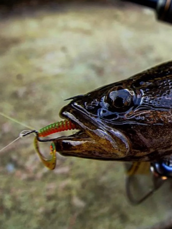 Крючок офсетный  Рыболовная империя Fish_Emp OFFSET Size 4 0 Никель 5шт