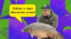 113